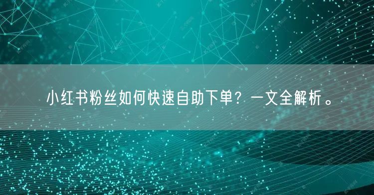 小红书粉丝如何快速自助下单？一文全解析。