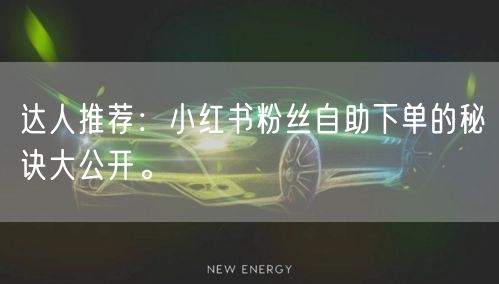 达人推荐：小红书粉丝自助下单的秘诀大公开。