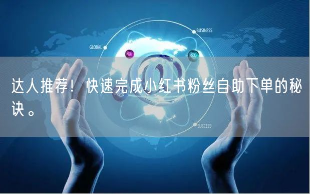 达人推荐！快速完成小红书粉丝自助下单的秘诀。