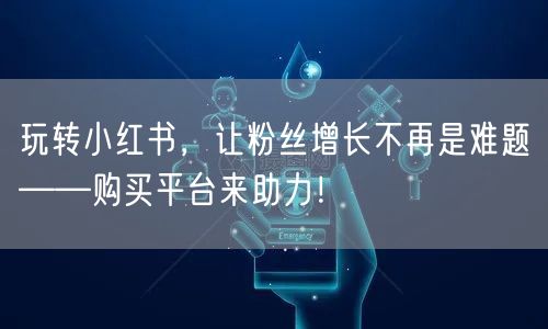 玩转小红书,让粉丝增长不再是难题——购买平台来助力!