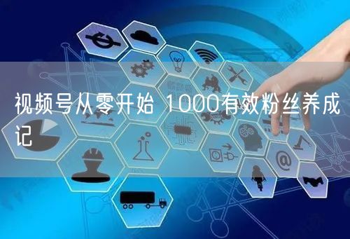 视频号从零开始 1000有效粉丝养成记