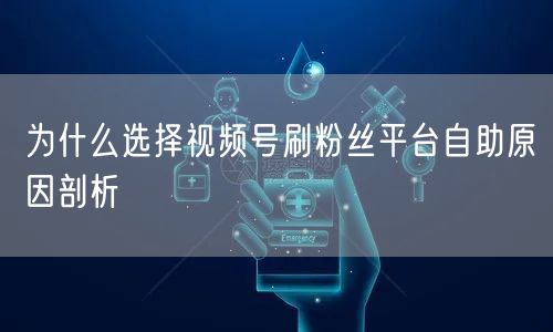为什么选择视频号刷粉丝平台自助原因剖析