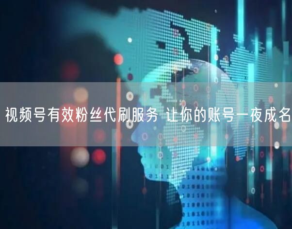 视频号有效粉丝代刷服务 让你的账号一夜成名