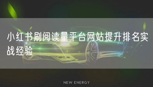 小红书刷阅读量平台网站提升排名实战经验